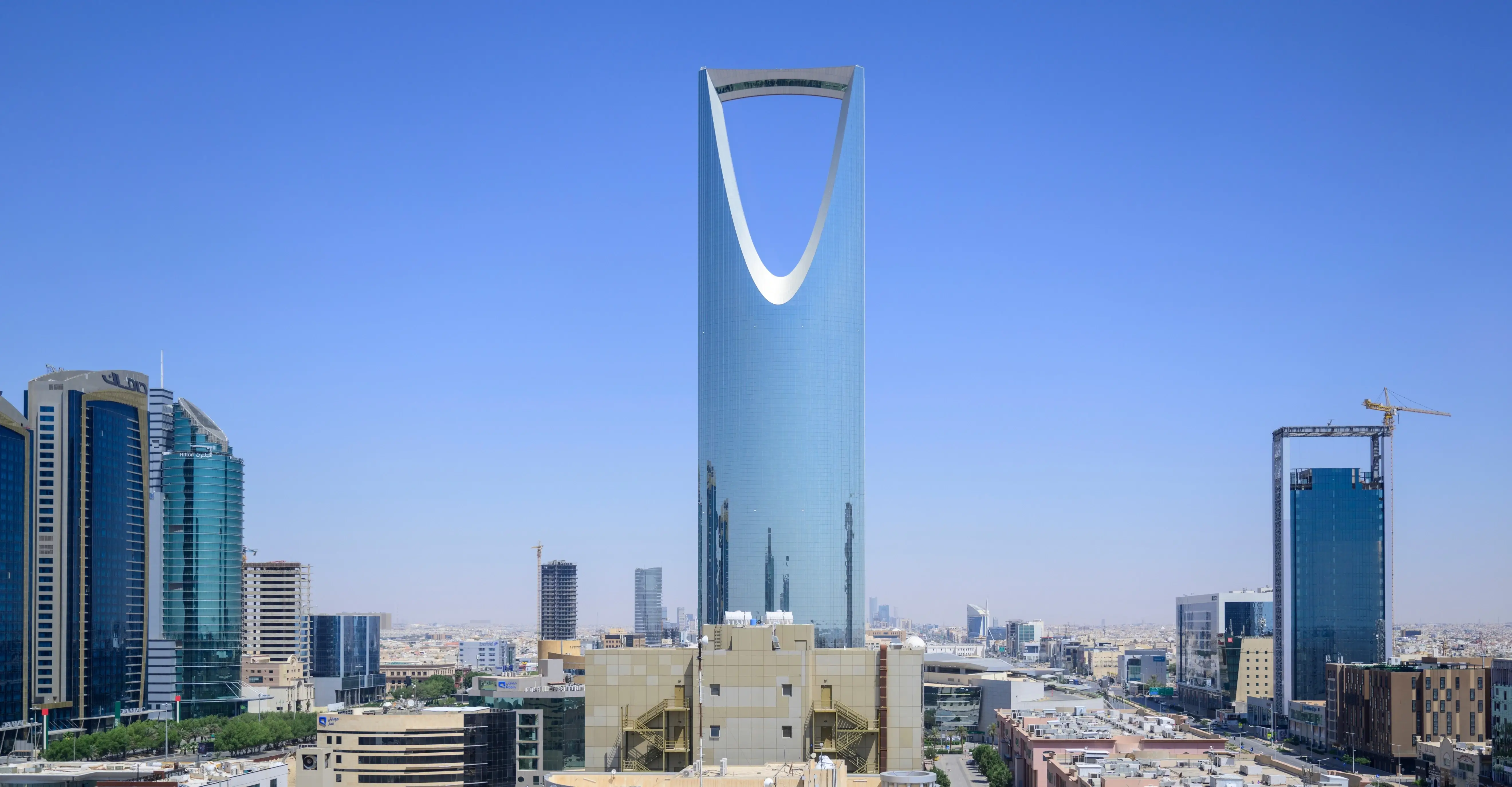 تجنيس أبناء أو بنات المواطنات
